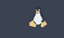 Featured image of post Linux